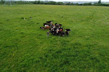 JFe-DJI_0086 21st May 2022: Geophysics at Branston leas: © Jenny France