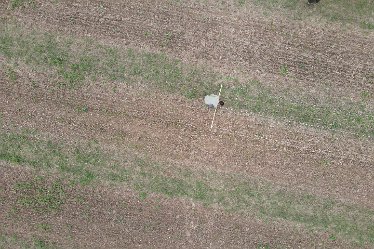 JFg-DJI_0246 September 2022: Geophysics at Drakelow: © Jenny France