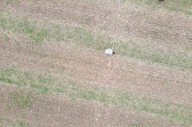 JFg-DJI_0248 September 2022: Geophysics at Drakelow: © Jenny France