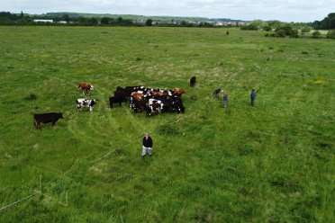 Geophysics at Branston leas 2 21st May 2022: Geophysics at Branston leas: © Jenny France