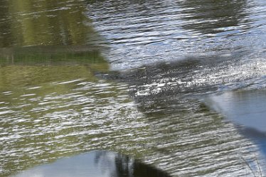 JulieC-branston waterflow2 29th May 2021: Julie Clark © 2021: Branston Leas montage