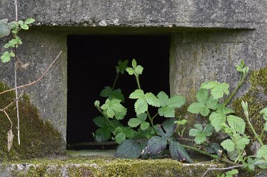 JulieC-pillbox.detail 29th May 2021: Julie Clark © 2021: Branston Leas