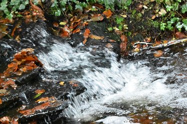 JC-DSC_a0735 November 2021: SWT Wolseley Bridge: © 2021 by Julie Clark