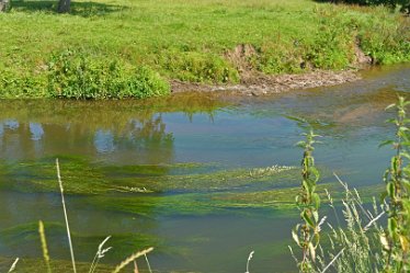 DSF_2269e July 2021: Confluence of the Dove and Churnet: © 2020-2021 Martin Robinson