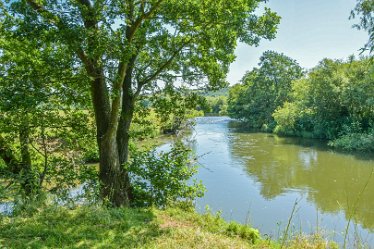 DSF_2294e.The Confluence of Dove _ Churnet jpg July 2021: Confluence of the Dove and Churnet: © 2020-2021 Martin Robinson