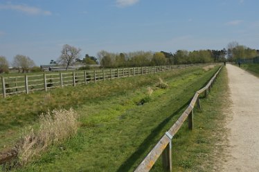 MR-DSE_9397 17th April 2021: Hatton-Rolleston Circular Walk: © 2020-2021 Martin Robinson