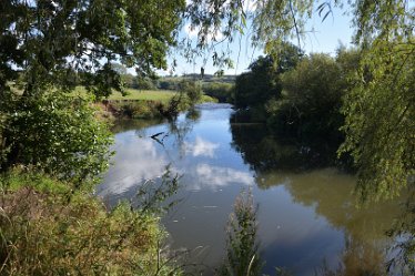 MR_DSH_2879_3338 confluence of Churnet and Dove looking upstream Sept 22 Confluence of Churnet _ Dove: © 2022 Martin Robinson: fungi on fallen deadwood