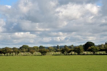 MR_DSH_2893_3344 Tranquil autumn scene Confluence of Churnet _ Dove: © 2022 Martin Robinson: Tranquil autumn scene