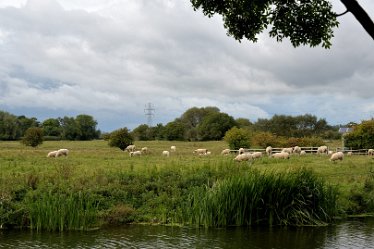 MR_DSH_2563_3373 River Dove Tutbury and the River Dove: 18.09.2022: © 2022 Martin Robinson: River Dove