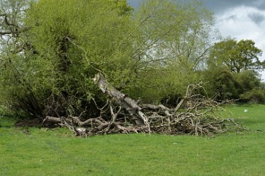 MR-DSE_0070 16th May 2021: Fradley Alrewas Wychnor circular walk: © 2021 Martin Robinson