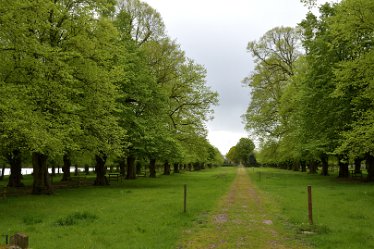 MR-DSE_0109 16th May 2021: Fradley Alrewas Wychnor circular walk: © 2021 Martin Robinson