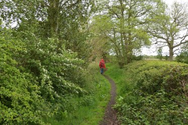 MR-DSE_0149 16th May 2021: Fradley Alrewas Wychnor circular walk: © 2021 Martin Robinson