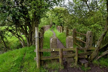 MR-DSE_0154 16th May 2021: Fradley Alrewas Wychnor circular walk: © 2021 Martin Robinson