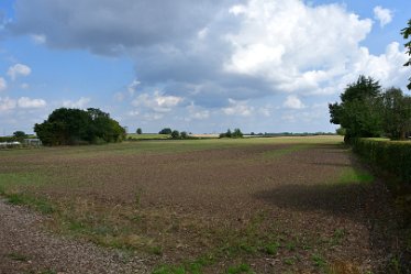 MR-DSH_1776_2964 Flat Agricultural landscape Elford and River Tame: August: Flat Agricultural landscape: © 2022 Martin Robinson