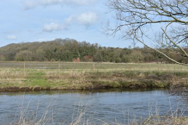 MR_DSG_1118_446 Staffs Way Doveridge Gun Club to Bridge 26th February: © 2022 Martin Robinson