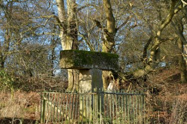 MR_DSG_0443_526 Wolseley Bridge to Etchinghill Circular walk: 9th January: © 2022 Martin Robinson