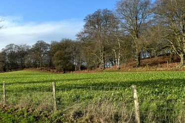 MR_DSG_0448_530 Wolseley Bridge to Etchinghill Circular walk: 9th January: © 2022 Martin Robinson