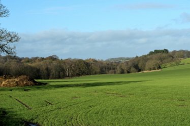 MR_DSG_0511_574 Wolseley Bridge to Etchinghill Circular walk: 9th January: © 2022 Martin Robinson