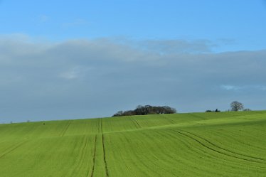 MR_DSG_0514_576 Wolseley Bridge to Etchinghill Circular walk: 9th January: © 2022 Martin Robinson