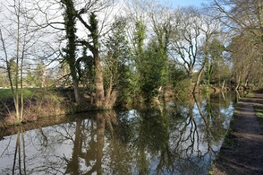 MR_DSG_0359_223 Wolseley Bridge section of Rugeley to Cannock Chase Circular walk: 3rd January 2022: © 2022 Martin Robinson
