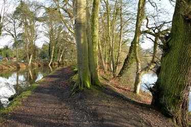 MR_DSG_0364_225 Wolseley Bridge section of Rugeley to Cannock Chase Circular walk: 3rd January 2022: © 2022 Martin Robinson