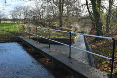 MR_DSG_0367_227 Wolseley Bridge section of Rugeley to Cannock Chase Circular walk: 3rd January 2022: © 2022 Martin Robinson