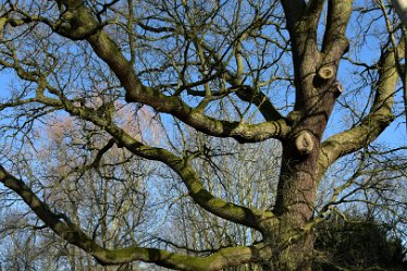 MR_DSG_1684_710 Wolseley Centre March: © 2022 Martin Robinson