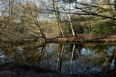 MR_DSG_1741_724 Wolseley Centre March: © 2022 Martin Robinson