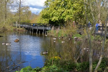 DSE_9099_edited-1 April 2021: SWT Wolseley Centre: © 2021 Martin Robinson