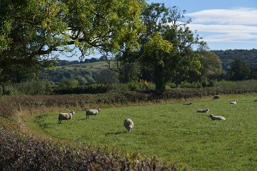 Churnet & Dove Confluence of Churnet and Dove: © 2022 Martin Robinson