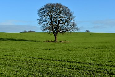 Wolseley Br-Etchinghill Circular Wolseley Bridge to Etchinghill Circular walk: 9th January: © 2022 Martin Robinson