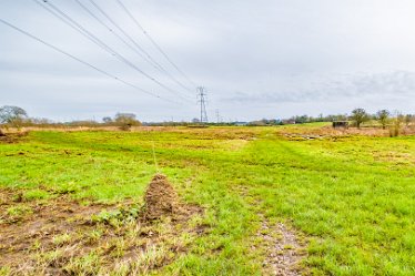 F24_2558r1 29th February 2024: Tucklesholme late winter walk: Leading to the pill box: © Paul L.G. Morris