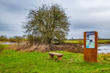 F24_2582r1 29th February 2024: Tucklesholme late winter walk: Information board by the river: © Paul L.G. Morris
