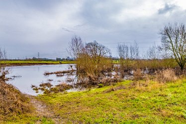 F24_2588r1x2J1 29th February 2024: Tucklesholme late winter walk: Panoramic view by the River Trent: © Paul L.G. Morris