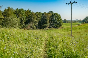 F23_3524r1 September 2023: Anchor Church and Walk from Foremark: © 2023 Paul L.G. Morris: Follow the path to the left of the electricity supply pole