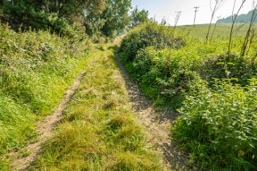 F23_3530r1 September 2023: Anchor Church and Walk from Foremark: © 2023 Paul L.G. Morris: Turn right and follow the track eastwards