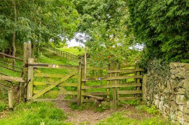 F23_1968-r1 August 2023: Anchor Church and Walk from Ingleby: © 2023 Paul L.G. Morris: RTake the right path