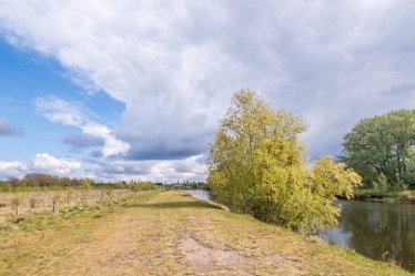 F21_1186r1 29th April 2021: Branston Leas Nature Reserve: © Paul L.G. Morris