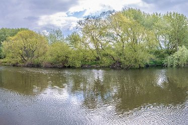 F21_1189r1x4j1 29th April 2021: Branston Leas Nature Reserve: Panoramic view of the River Trent: © Paul L.G. Morris