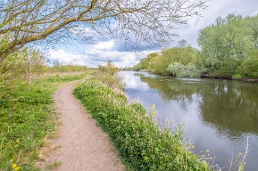 F21_1210r1 29th April 2021: Branston Leas Nature Reserve: © Paul L.G. Morris