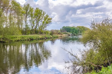 F21_1222r1 29th April 2021: Branston Leas Nature Reserve: © Paul L.G. Morris