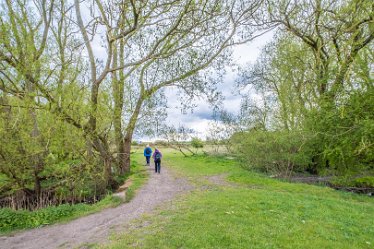 F21_1252r1 29th April 2021: Branston Leas Nature Reserve: © Paul L.G. Morris