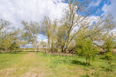 F21_1285r1 29th April 2021: Branston Leas Nature Reserve: © Paul L.G. Morris