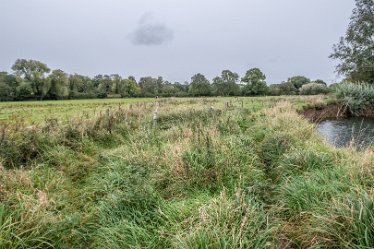 F20B7902r2 2nd October 2020: Rocester walk: The path diverges - we go to the right and return on the left: Paul L.G. Morris