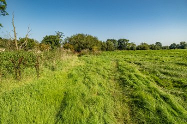 F23_3542r1 4th September 2023: Trent Valley Way near Swarkstone Quarry: © 2023 Paul L.G. Morris: