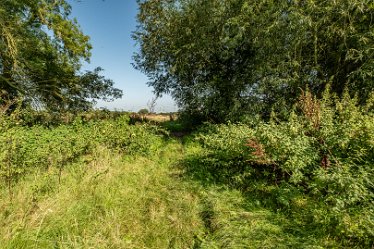 F23_3548r1 4th September 2023: Trent Valley Way near Swarkstone Quarry: © 2023 Paul L.G. Morris: