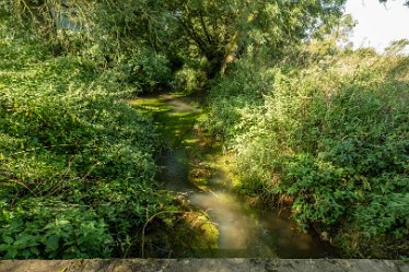 F23_3551r1 4th September 2023: Trent Valley Way near Swarkstone Quarry: © 2023 Paul L.G. Morris: