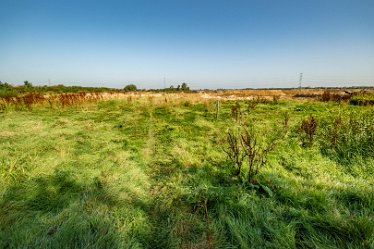 F23_3554r1 4th September 2023: Trent Valley Way near Swarkstone Quarry: © 2023 Paul L.G. Morris: