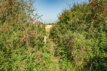 F23_3578r1 4th September 2023: Trent Valley Way near Swarkstone Quarry: © 2023 Paul L.G. Morris: