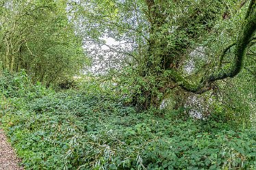 L20_6796r1x5j1 28th August 2020: Tucklesholme Tour 1: 360° panorama: © 2020-2021 Paul L.G. Morris